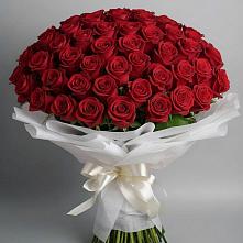Букет 101 Красная роза Блэк Мэджик в Завьялово Алтайского края