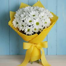 Букет цветов из:  Хризантемы в Завьялово Алтайского края
