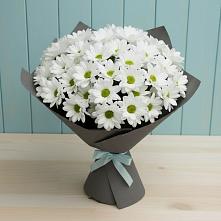 Букет цветов из:  Хризантемы в Завьялово Алтайского края