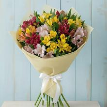 Букет цветов из:  Альстромерии #REPLACE_PRED# Завьялово Алтайского края