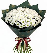 Букет цветов из:  Хризантемы в Завьялово Алтайского края