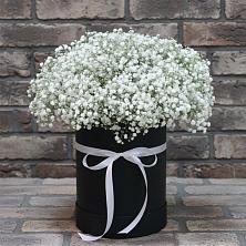 Цветочная композиция из Гипсофила в шляпной коробке в Завьялово Алтайского края